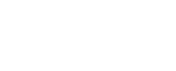 Shopify Platinum Partner